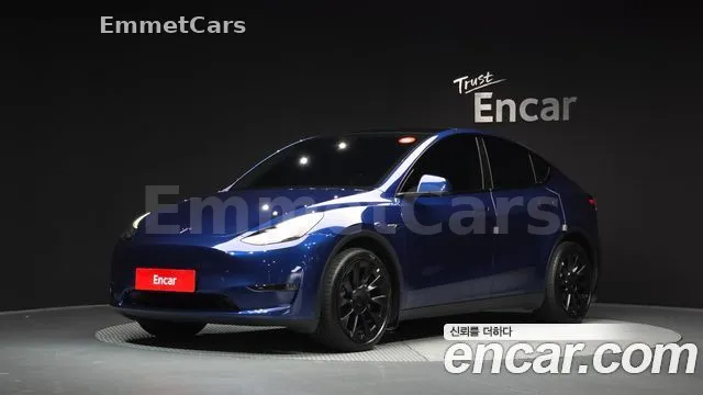 2024 Tesla Model Y Long Range AWD из Кореи VIN LRWYGCEK2RC496390