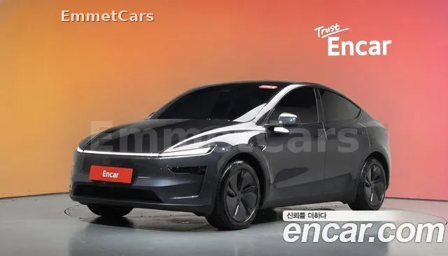 2025 Tesla Model Y Long Range AWD из Кореи VIN LRWYGCEK1SC086492