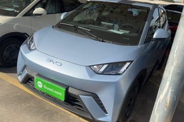 BYD Seagull 2025 305 km Vitality Edition