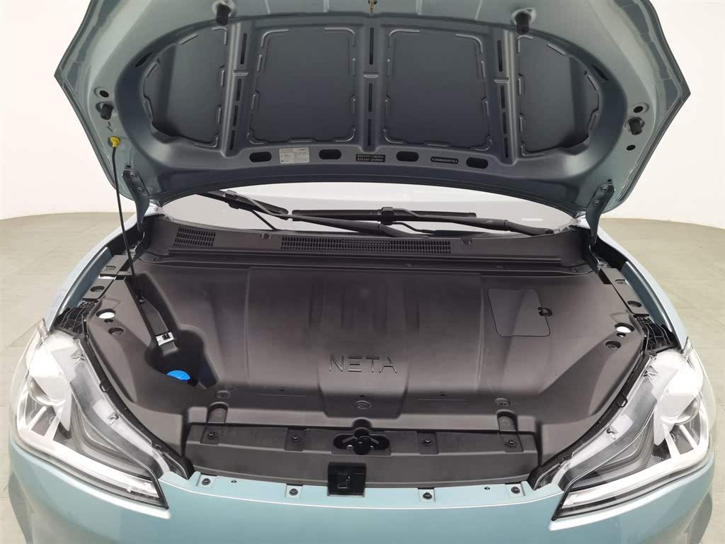 Neta V 2022 300 Lite (LFP)