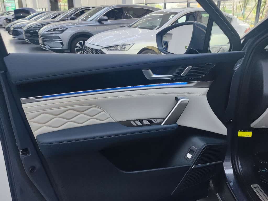 BYD Tang EV 2024 Champion Edition 635KM 4WD Flagship