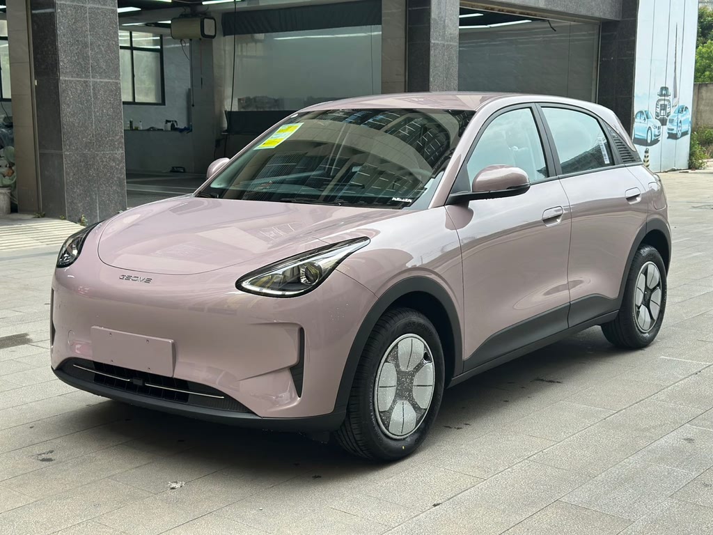 Xingyuan 2025 310km Youth Edition