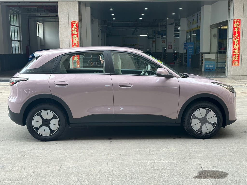 Xingyuan 2025 310km Youth Edition