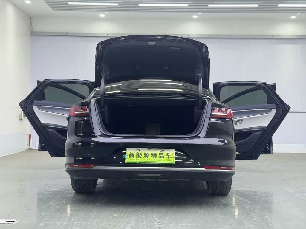 BYD e9 2021 Business Edition