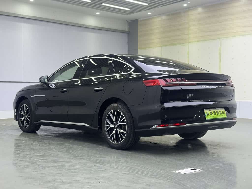 BYD e9 2021 Business Edition