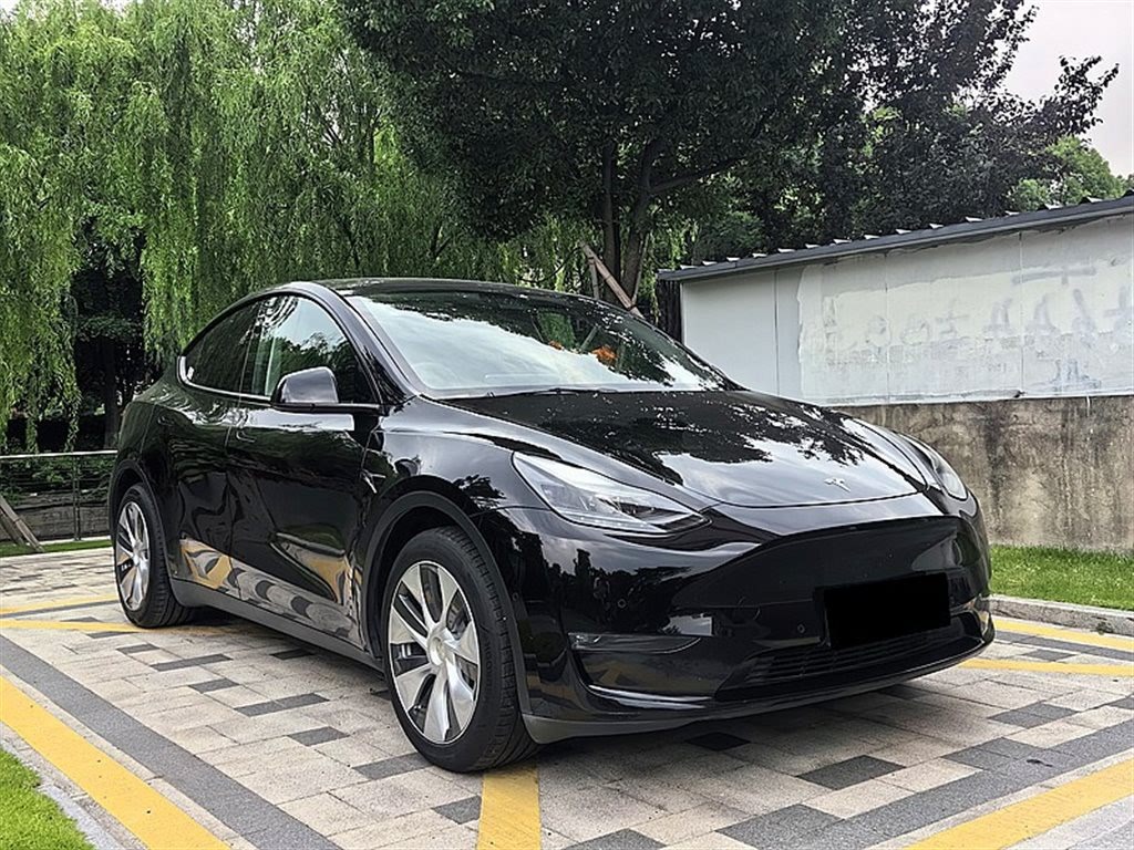 Tesla Model Y 2021 Standard Range RWD