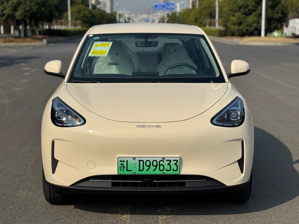 Xingyuan 2025 310km Youth Edition