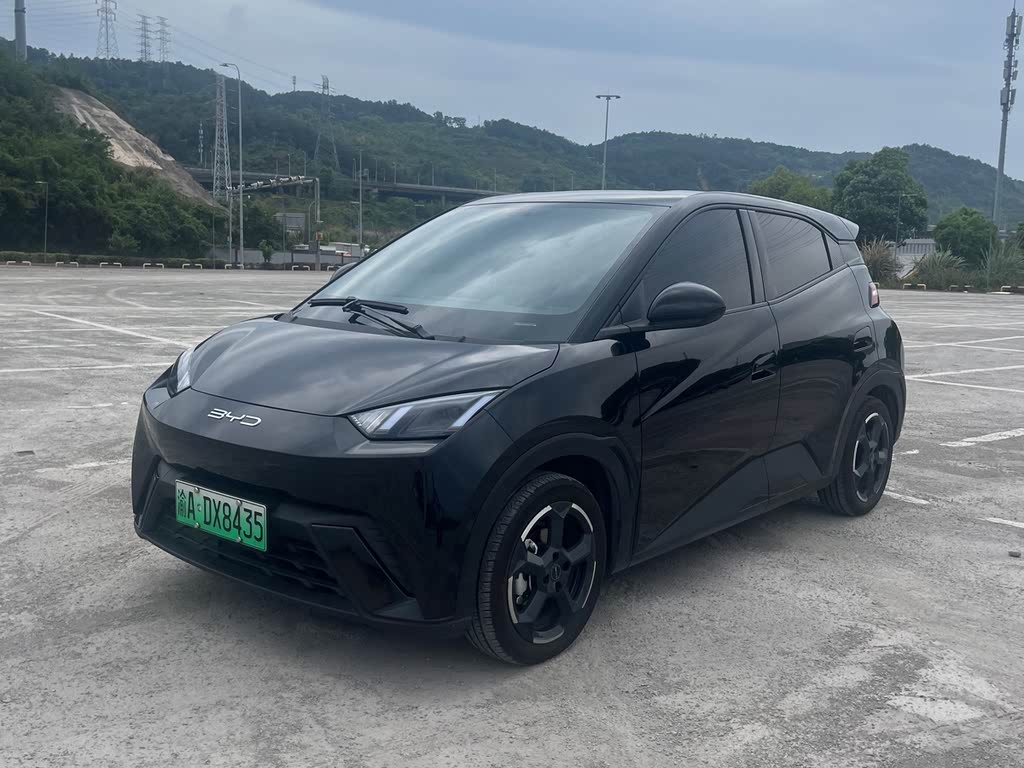 BYD Seagull 2024 Honor Edition 305km Free Edition