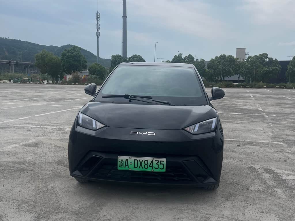 BYD Seagull 2024 Honor Edition 305km Free Edition