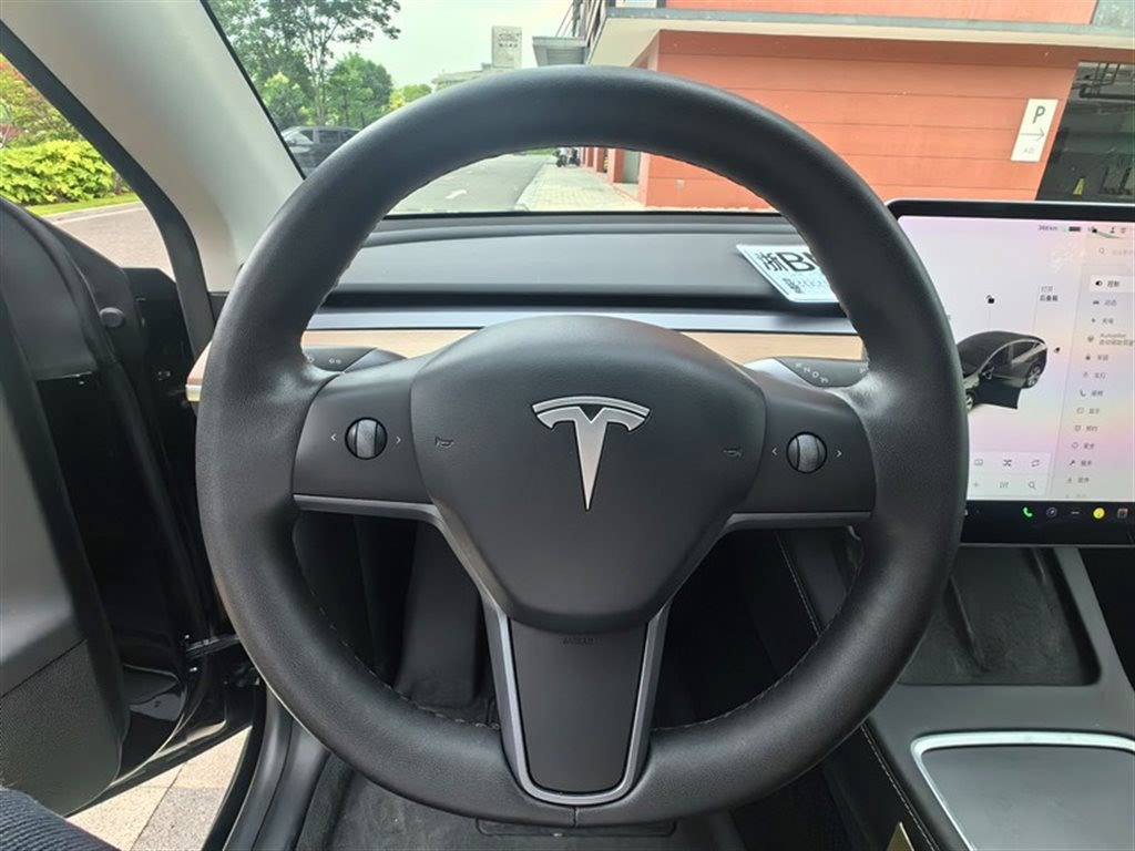 Tesla Model Y 2021 Standard Range RWD