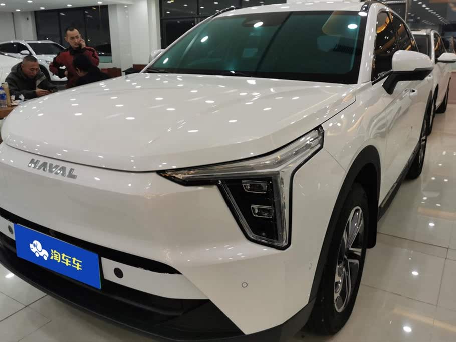 Haval Xiaolong 2023 1.5L 110KM Linghang Edition