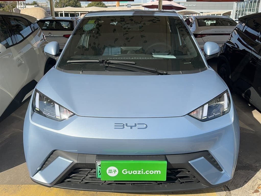 BYD Seagull 2025 305 km Vitality Edition