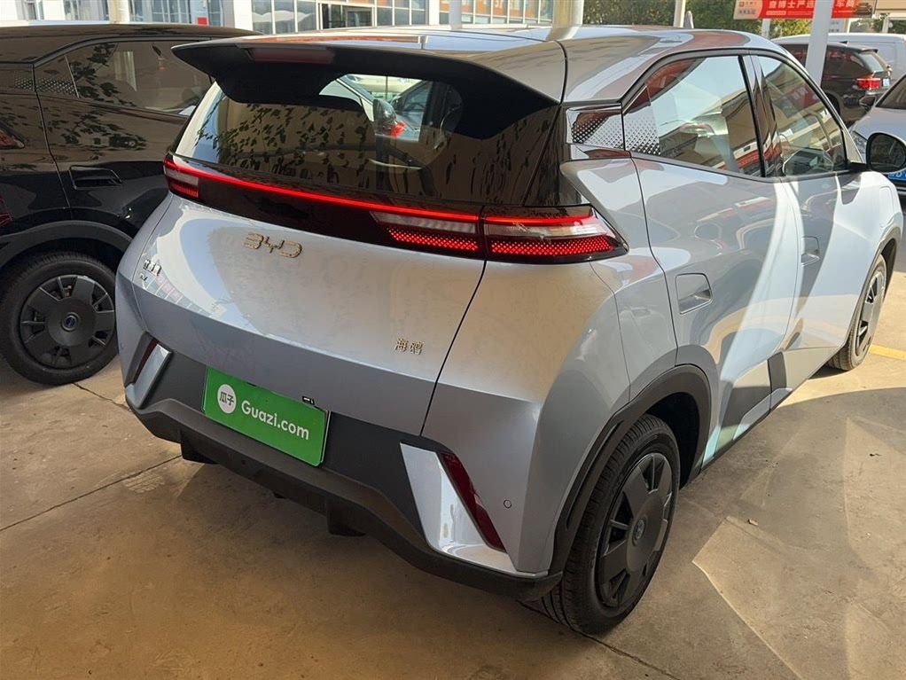 BYD Seagull 2025 305 km Vitality Edition