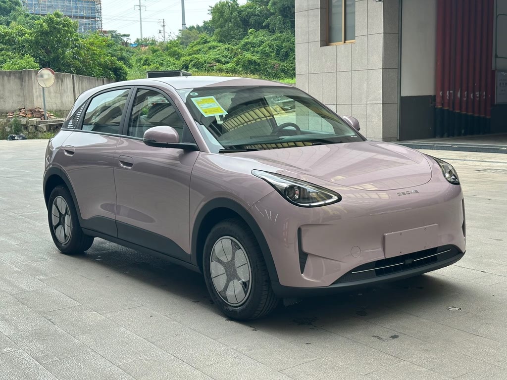 Xingyuan 2025 310km Youth Edition