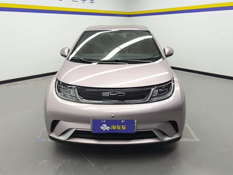 BYD Dolphin 2021 405km Freedom Edition