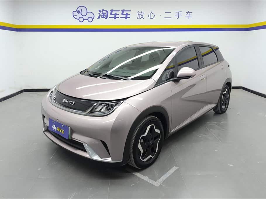 BYD Dolphin 2021 405km Freedom Edition