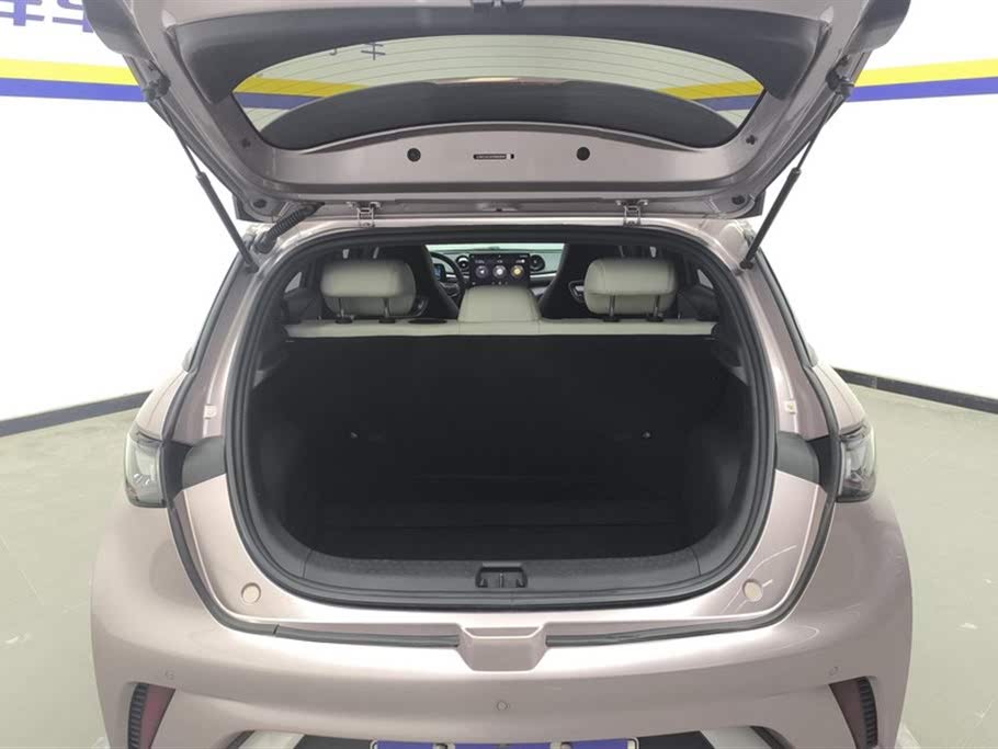 BYD Dolphin 2021 405km Freedom Edition