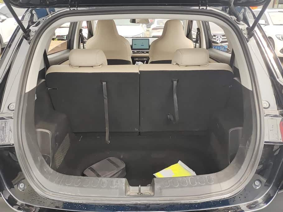 Wuling Bingo Plus 2024 510 km Flagship Edition (четырехместная версия)