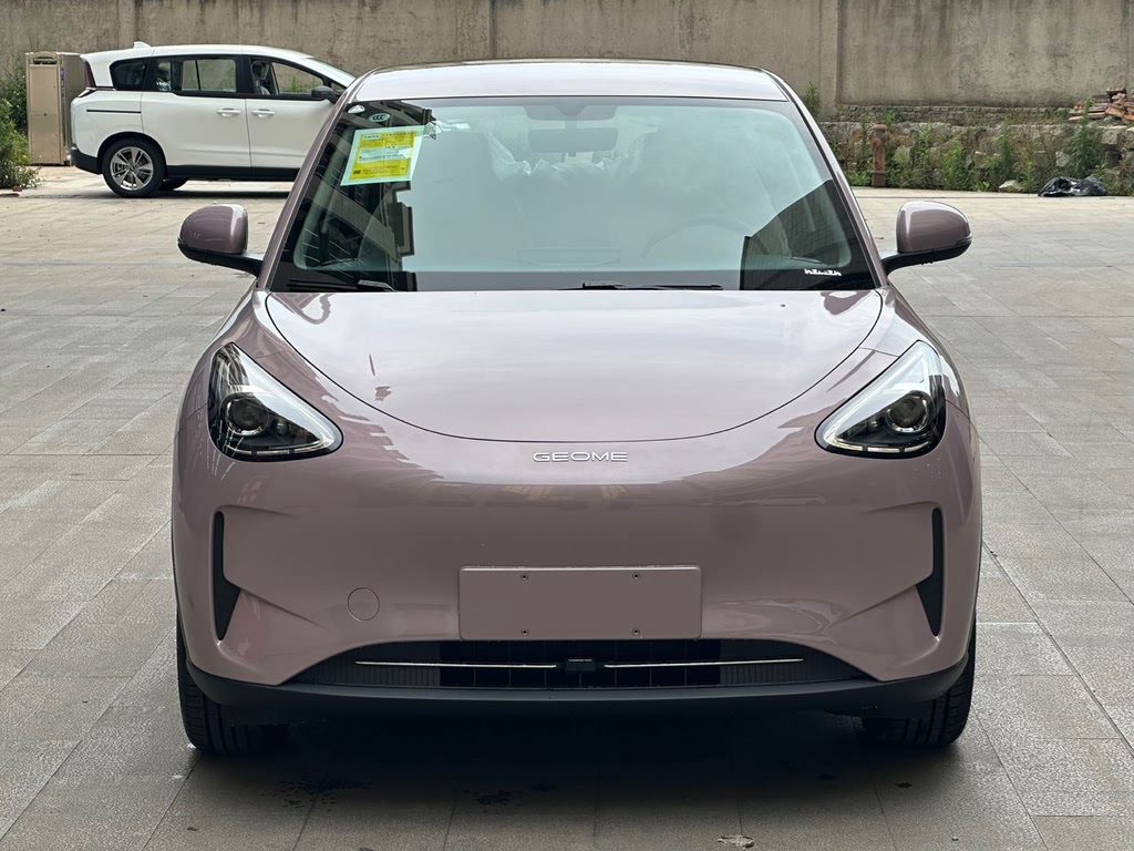 Xingyuan 2025 310km Youth Edition