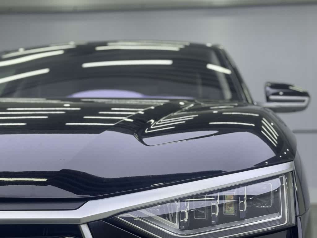 BYD e9 2021 Business Edition