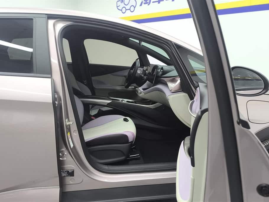 BYD Dolphin 2021 405km Freedom Edition