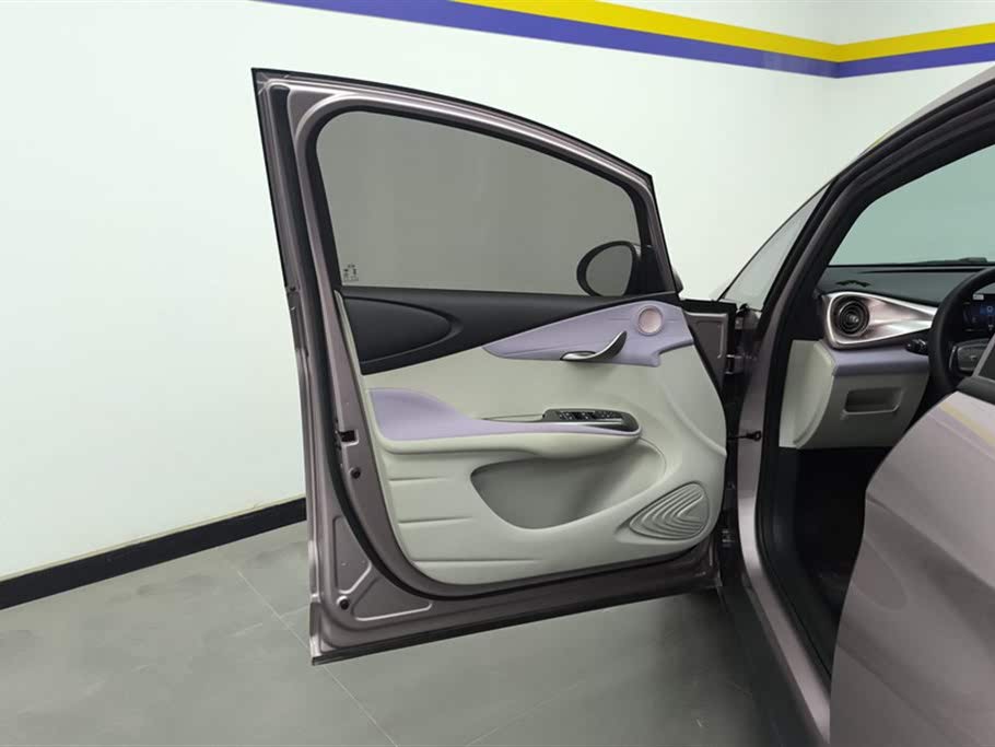 BYD Dolphin 2021 405km Freedom Edition