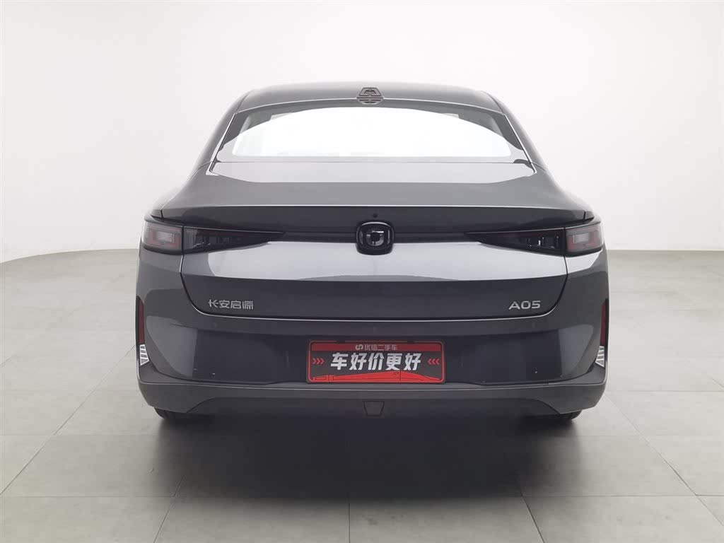  Qiyuan A05 2024 145 Max