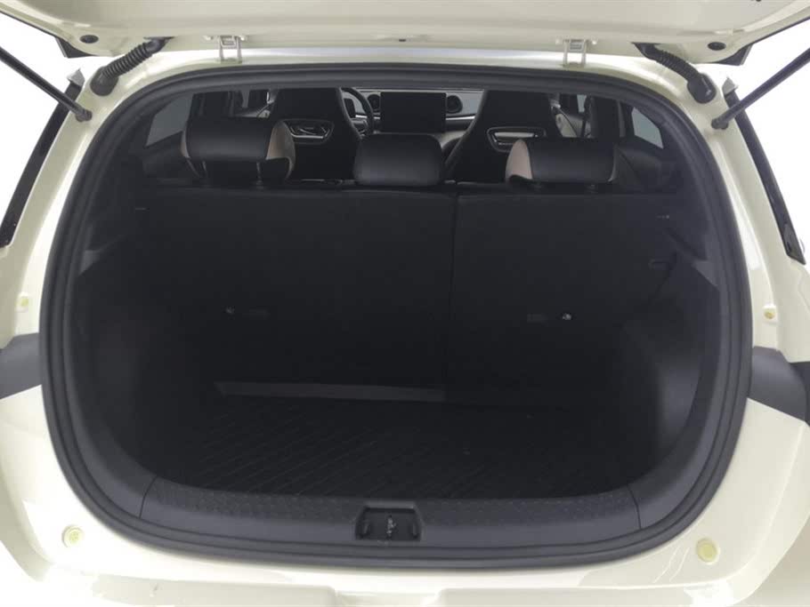 BYD Dolphin 2023 420km Fashion Edition