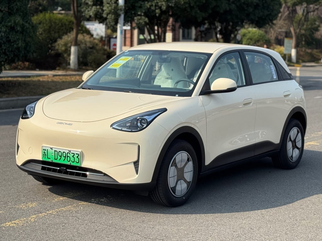 Xingyuan 2025 310km Youth Edition
