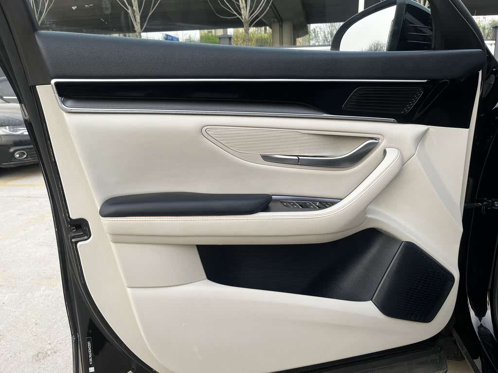 Song PLUS New Energy 2023 Champion Edition EV 520KM Luxury