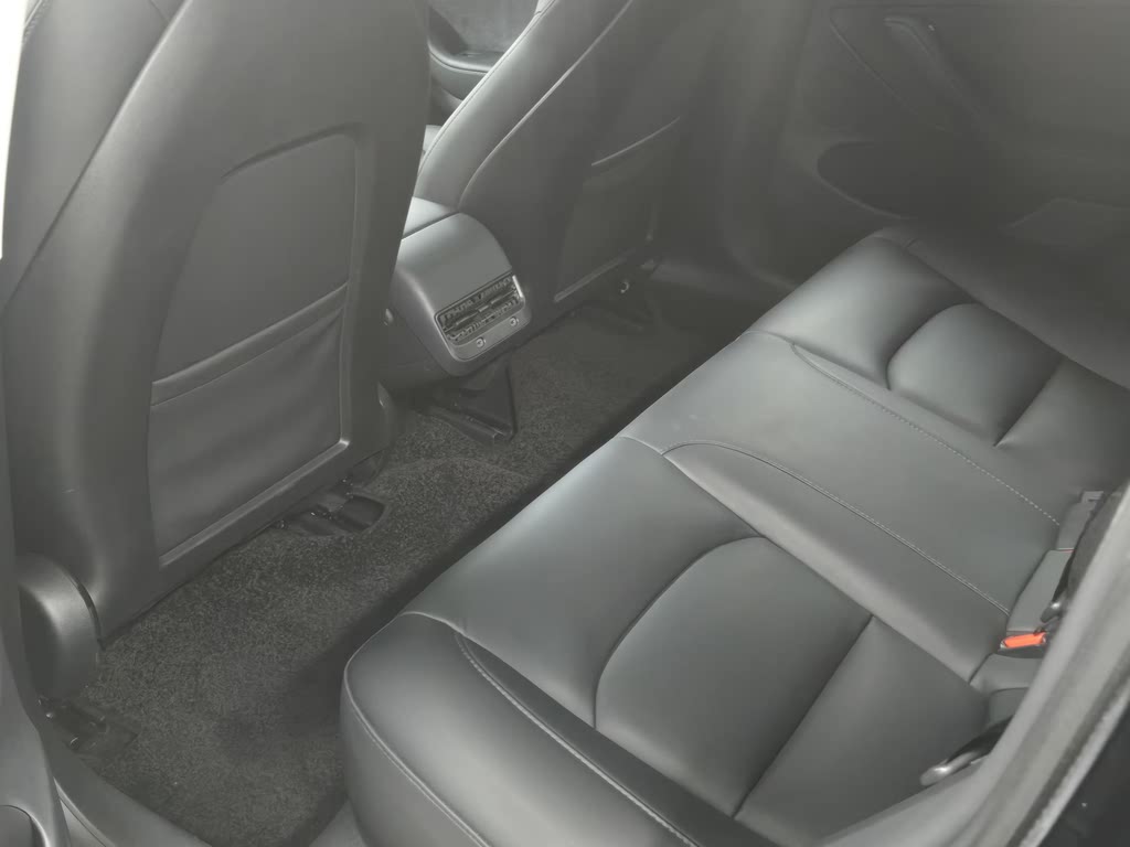 Tesla Model 3 2022 Заднеприводная версия