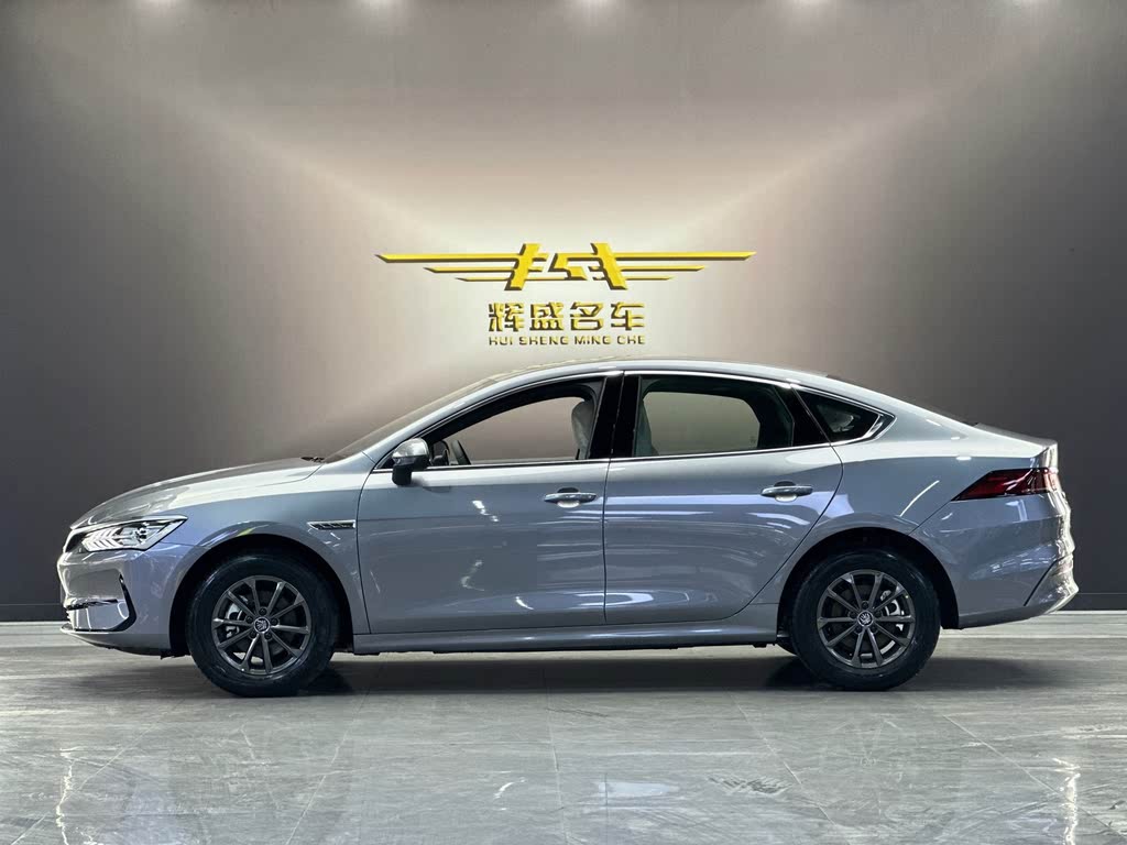 BYD Qin PLUS EV 510 км Travel Edition (2023)