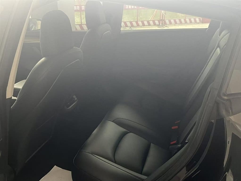 Tesla Model 3 Standard Range RWD (обновленная версия, 2021 год)