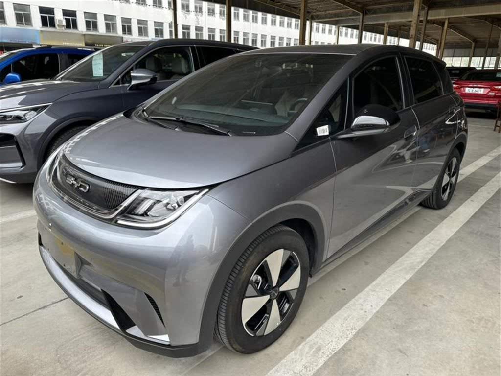 BYD Dolphin 2023 420km Freedom Edition