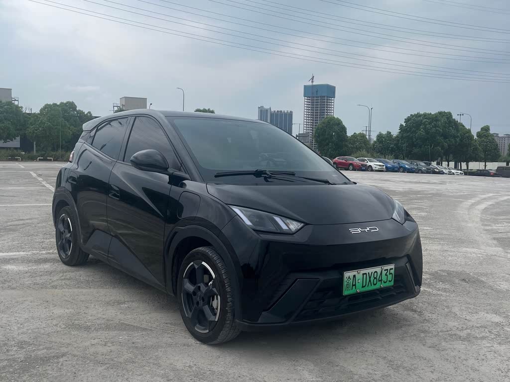BYD Seagull 2024 Honor Edition 305km Free Edition