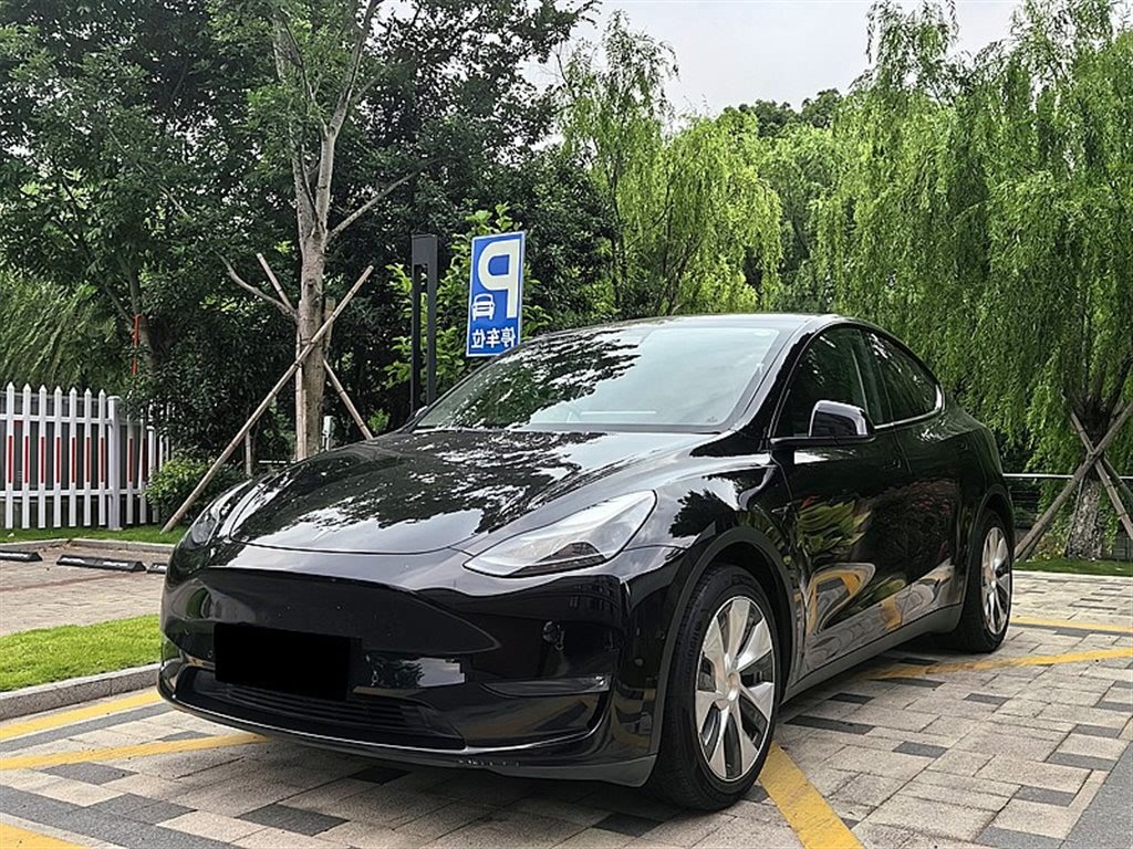 Tesla Model Y 2021 Standard Range RWD
