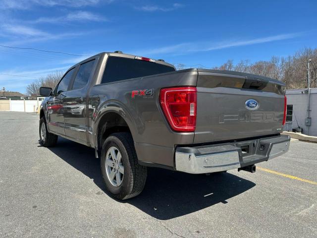 FORD F150 SUPERCREW 2023