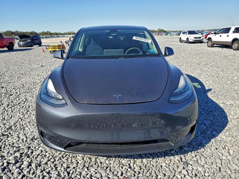 TESLA MODEL Y 2020