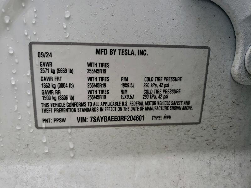 TESLA MODEL Y 2024