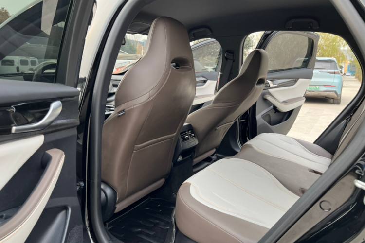 BYD Qin PLUS Champion Edition DM-i 55KM Leading Model 2023