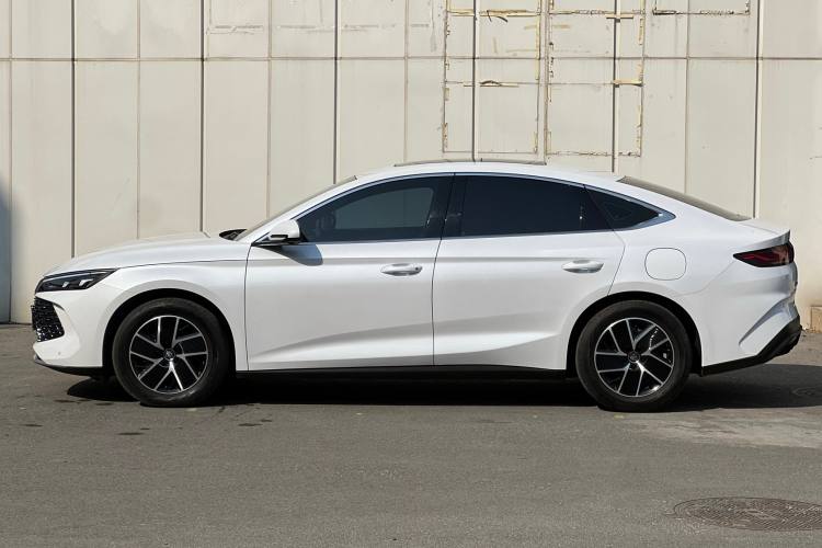 BYD	Qin L 2024