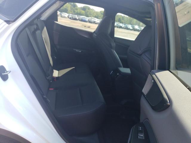 LEXUS NX 350 LUXURY 2025
