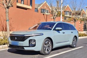 Baojun Valli 2021