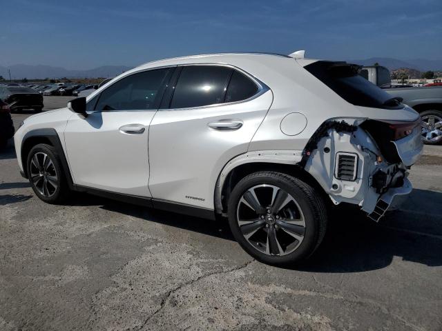 LEXUS UX 250H 2021