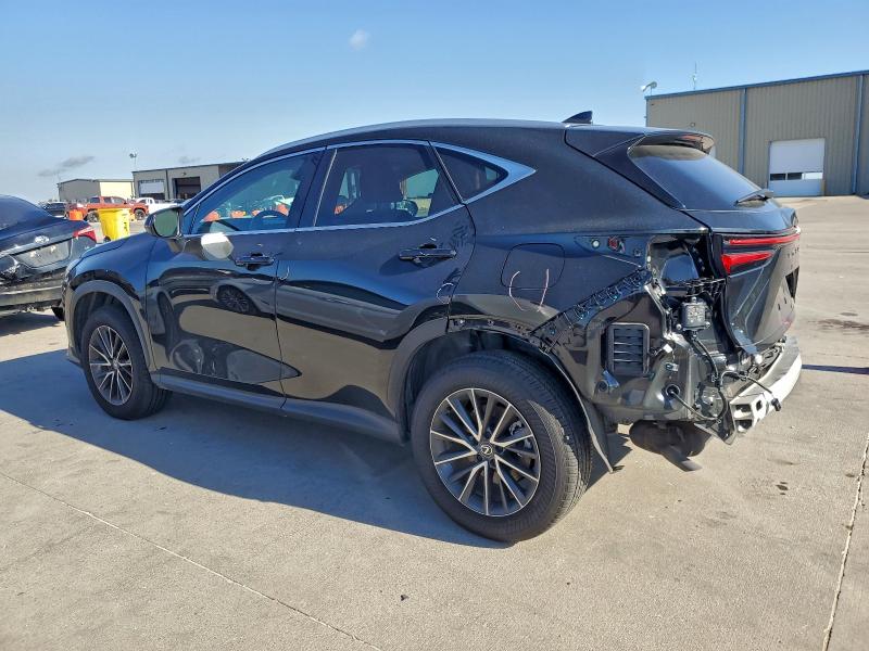 LEXUS NX 250 BASE 2024