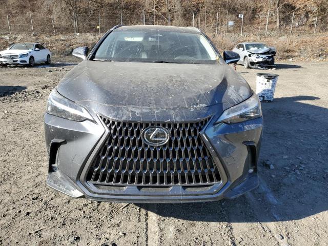 LEXUS NX 350 2023