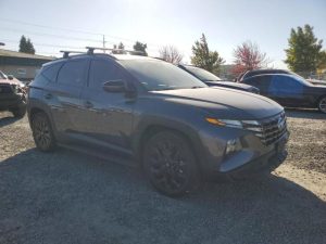 HYUNDAI TUCSON N LINE 2022