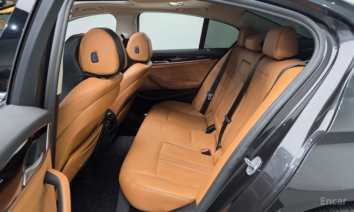 2019 BMW 5 серии VII (G30/G31) 520i Luxury с пробегом 80 531 км