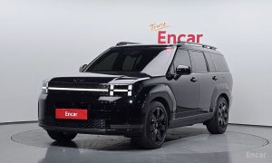 2023 Hyundai Santa Fe V (MX5) Gasoline 2.5T 2WD Calligraphy с пробегом 49 991 км