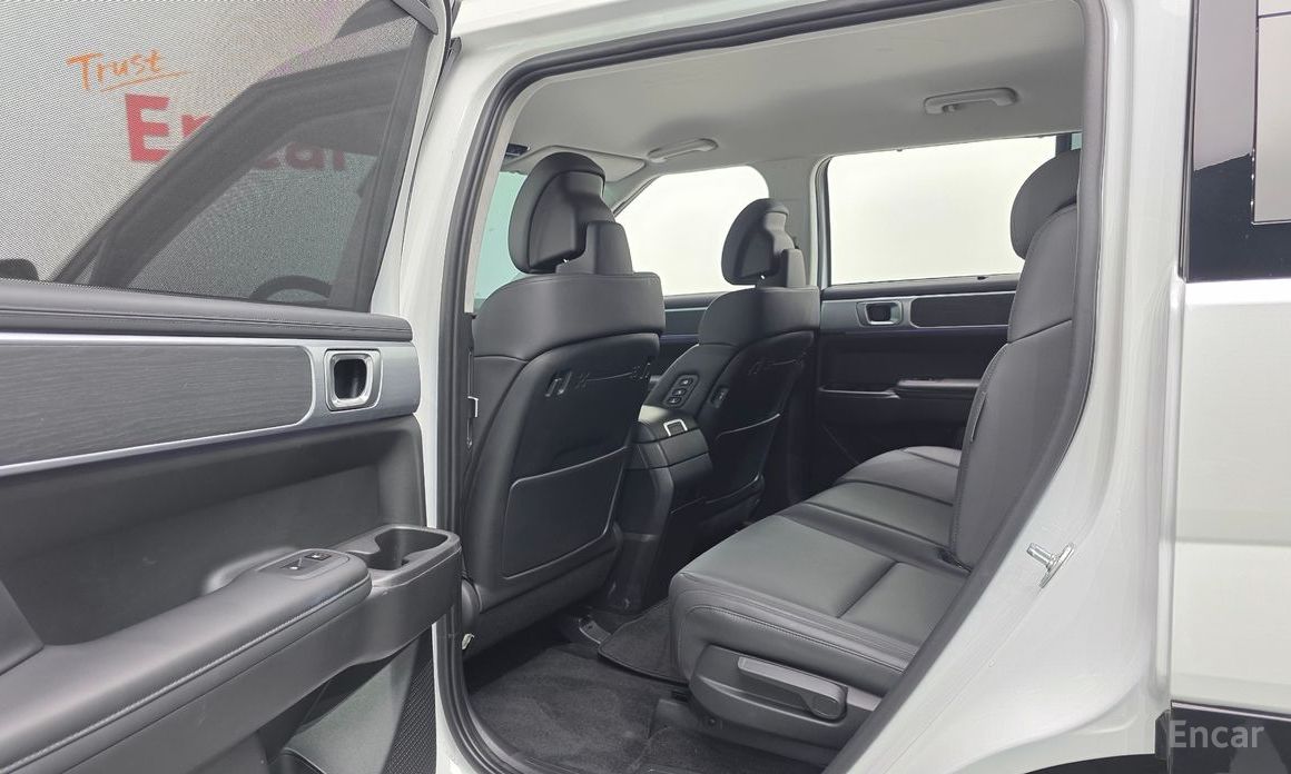 2024 Hyundai Santa Fe V (MX5) Gasoline 2.5T 2WD Calligraphy с пробегом 17 265 км